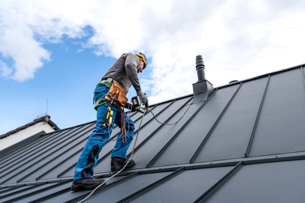 Best Asphalt Shingle Roofing  in Hamshire, TX